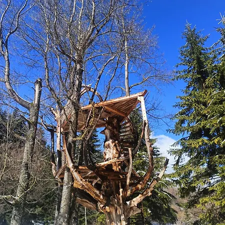 Andalo Chalet Andalo